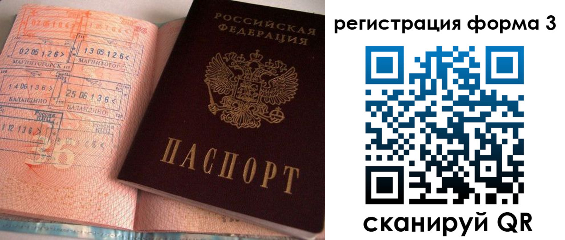 временная регистрация поиск в Амурской области